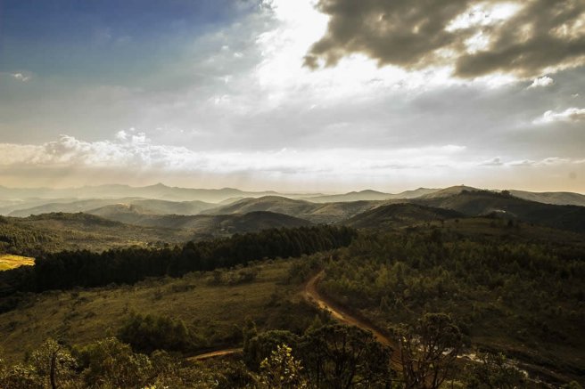 Sunshine in the Hills